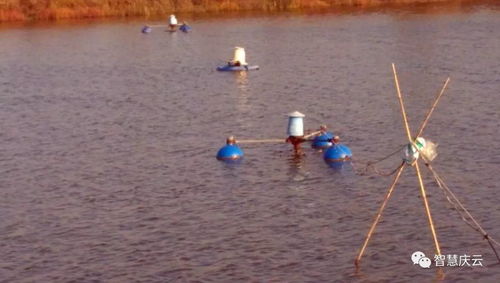 慶云海天水產(chǎn)養(yǎng)殖榮膺省級(jí)健康示范場(chǎng)，探索內(nèi)陸水產(chǎn)養(yǎng)殖與銷售新路徑